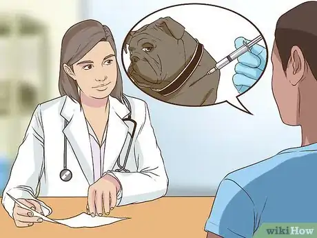Image titled Get a Complete Geriatric Work Up for Your Dog Step 13