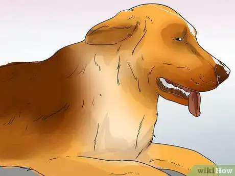 Image titled Treat Canine Periodontal Disease Step 3