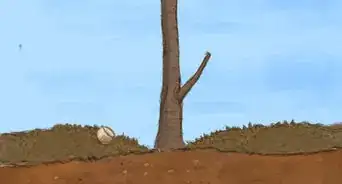 Plant a Bare Root Tree