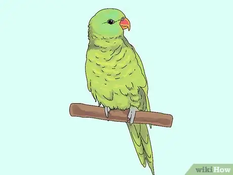 Image titled Choose a Lory or Lorikeet Step 2