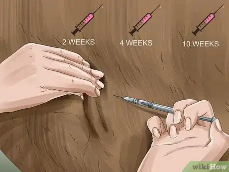 Image titled Prevent Botulism in Horses Step 11