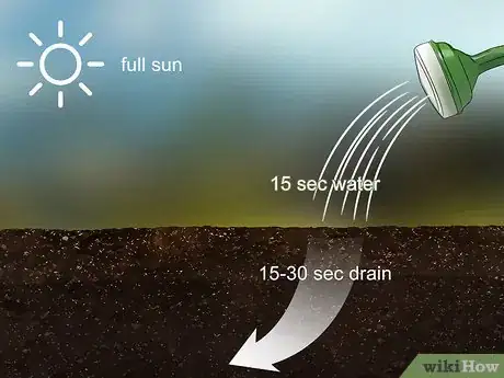 Image titled Plant Safflower Seeds Step 2