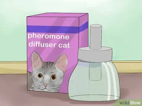 Image titled Get Your Cat to Know and Love You Step 5