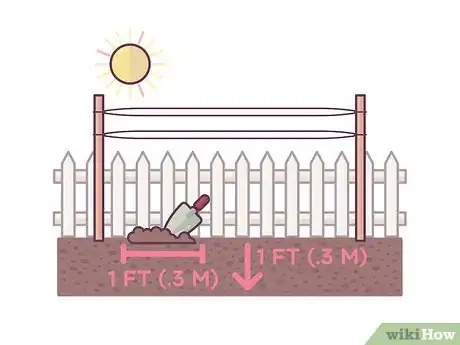 Image titled Grow Boysenberries Step 7