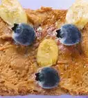 Make Peanut Butter Toast