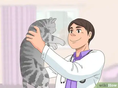 Image titled Diagnose and Treat Zinc Poisoning in Cats Step 7