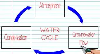 Make a Graphic Organizer