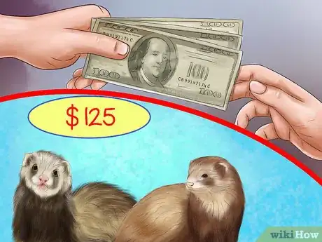 Image titled Buy a Ferret Step 3