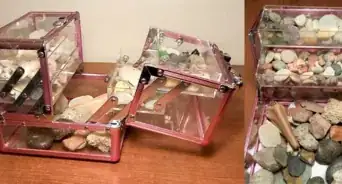 Organize a Rock Collection