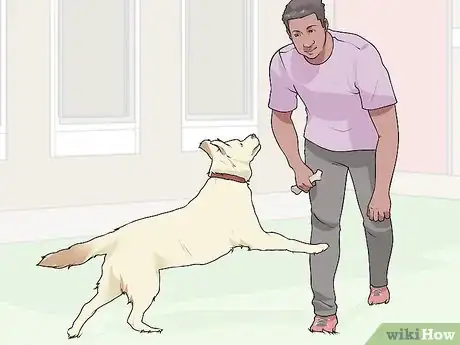 Image titled Live with a Dog with a High Prey Drive Step 6