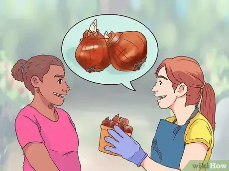 Image titled Get Tulip Bulbs Step 1