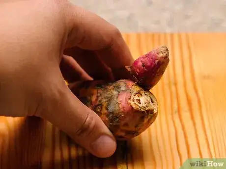 Image titled Store Sweet Potatoes Step 3