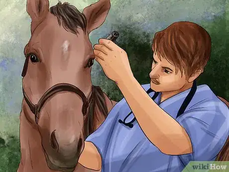 Image titled Treat Skin Disorders in Horses Step 8