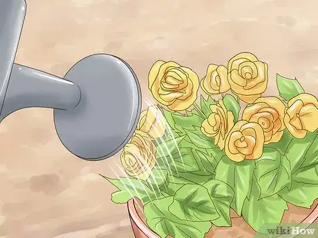 Image titled Grow Miniature Houseplants Step 12