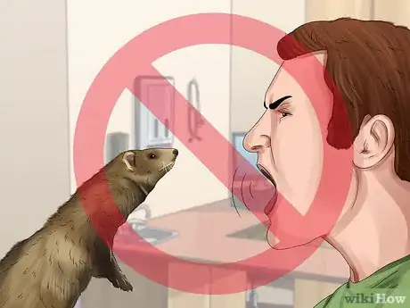 Image titled Care for a Ferret Step 11