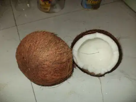 Image titled Coconut