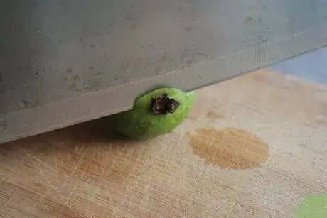 Image titled Make Fig Jam Step 2