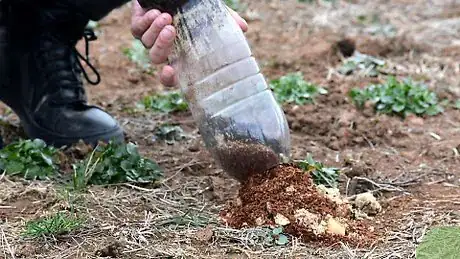 Image titled Make a Plastic Bottle Wormery Step 13