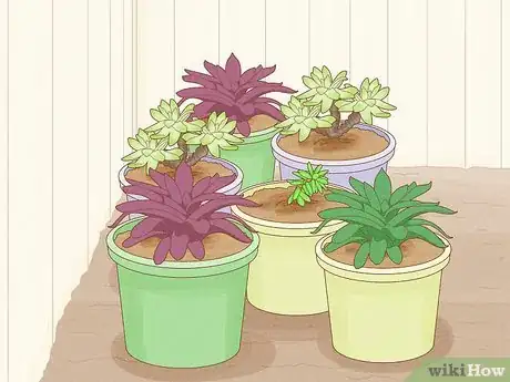 Image titled Cover Plants in the Winter Step 10