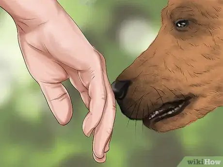 Image titled Approach an Unfamiliar Dog Step 12