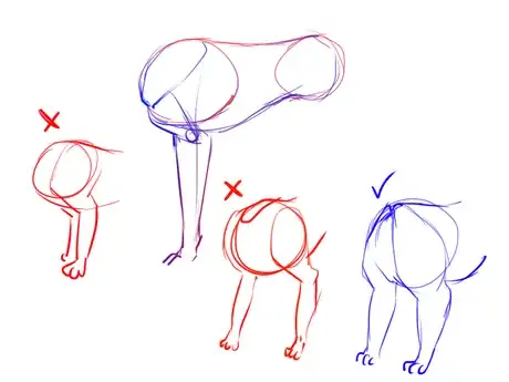 Image titled Poodle3.png