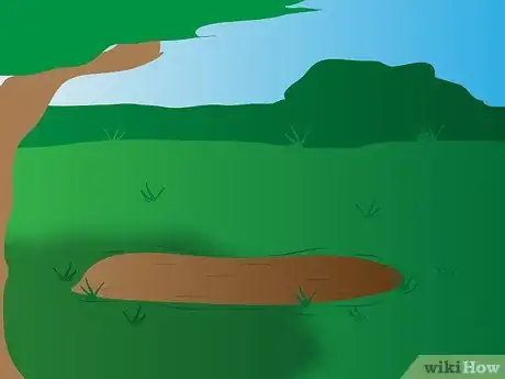 Image titled Grow Agapanthus Step 3