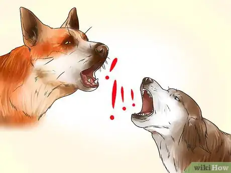 Image titled Decode Your Dog's Barks Step 3