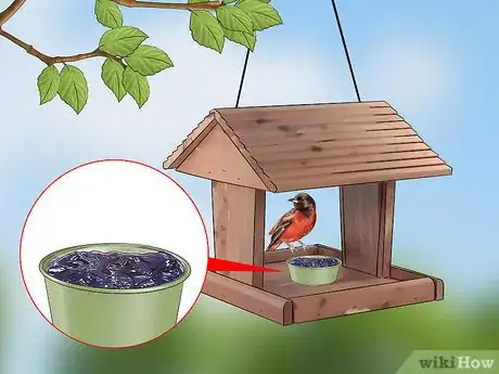 Image titled Attract Orioles Step 1