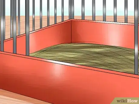 Image titled Tame an Older Hamster Step 11