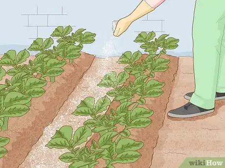 Image titled Apply Slow Release Fertilizer Step 15