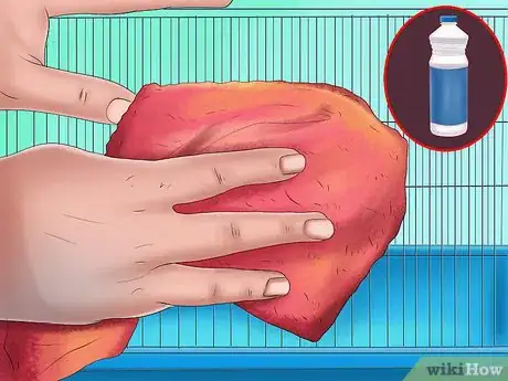 Image titled Treat Respiratory Problems in Gerbils Step 8