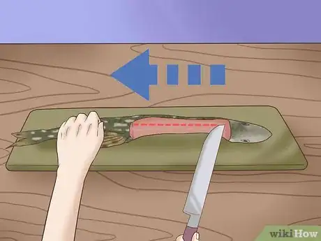 Image titled Clean and Fillet a Northern Pike Step 11