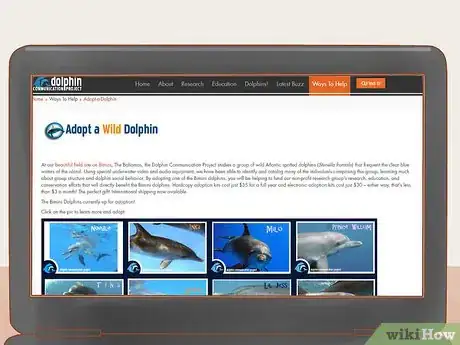 Image titled Adopt a Dolphin Step 1
