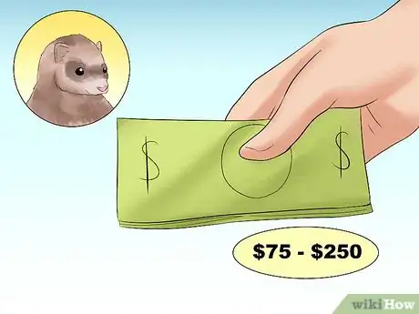 Image titled Decide if a Ferret Is the Right Pet for You Step 11