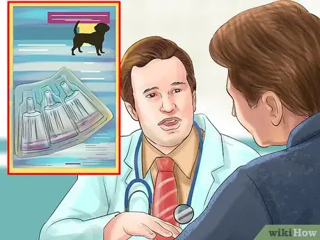 Image titled Care for an Irish Setter Step 12