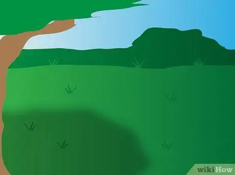 Image titled Grow Agapanthus Step 2