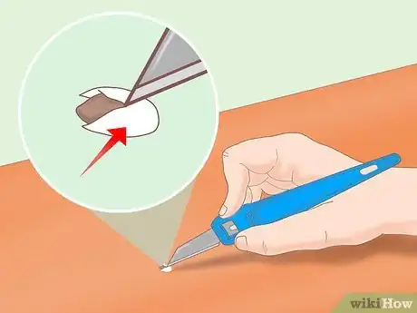 Image titled Plant a Lemon Seed Step 16