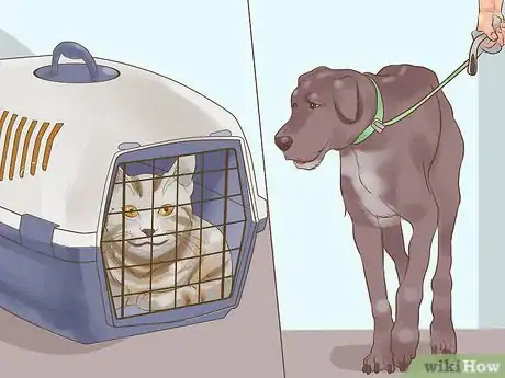Image titled Include Your Dog in an Emergency Disaster Plan Step 12