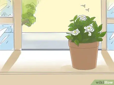 Image titled Raise Gardenias in Pots Step 6