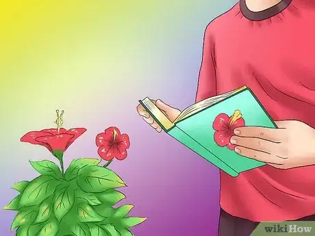 Image titled Winterize a Perennial Hibiscus Step 11