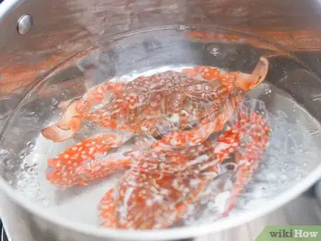 Image titled Boil Crab Step 8