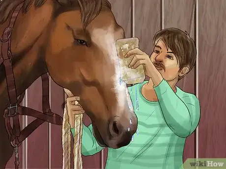 Image titled Treat Skin Disorders in Horses Step 9