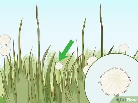 Image titled Help Protect Biodiversity Step 3