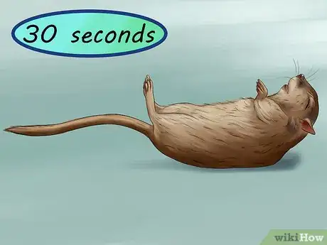Image titled Treat Gerbils Prone to Seizure Step 6