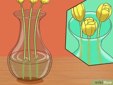 Image titled Arrange Tulips Step 11