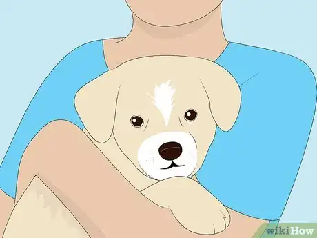 Image titled Help Reduce Poaching Step 3