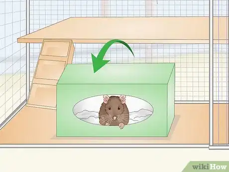 Image titled Provide Hiding Places for a Pet Rat Step 3