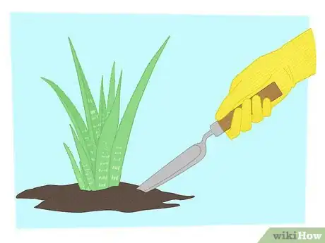 Image titled Propagate Your Plants Step 1