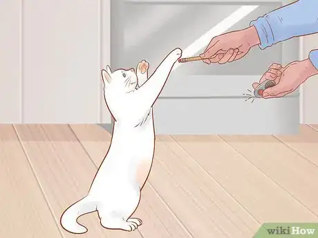 Image titled Target Train a Cat Step 9