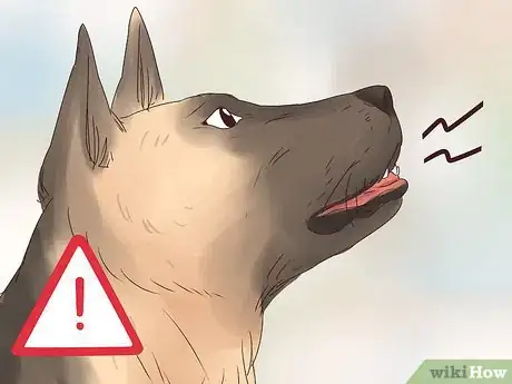 Image titled Stop a Dog from Eating Too Fast Step 12